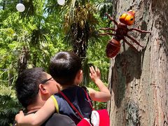 -黄海国家森林公园