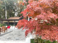 -星光教育超市(传媒大学店)