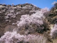-北京凤凰岭