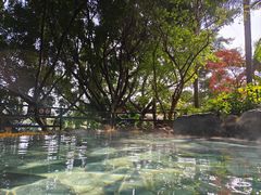 -湖泉半山温泉(湖泉生态园)