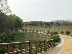 -同里国家湿地公园