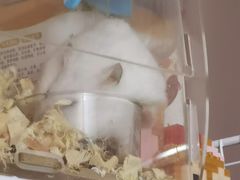 -秦香记凉皮肉夹馍(天城商业中心店)