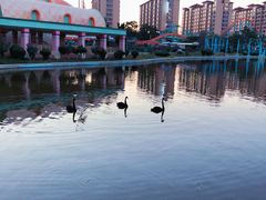 -蓬莱欧乐堡梦幻世界