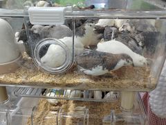 -三旗百汇商品城