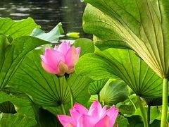 -松花湖风景名胜区