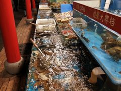 水产区-谊荣海鲜大牌档(石湖店)