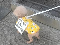 -乐宠宠物店(世纪金源店)