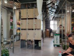 -MAGIC米几发型设计·羊毛卷