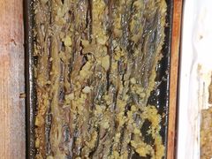 -三个大叔东北烧烤·砂锅菜(西三旗店)