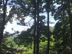 -崂山巨峰游览区