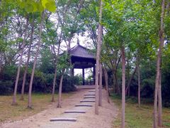 -蜀冈西峰生态公园