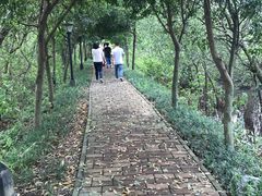 -芒洲湿地公园