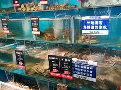水产区-海味当家·蒸锅海鲜(星海公园店)