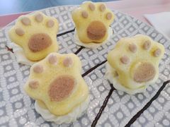 -喵屿·大理花园猫咖