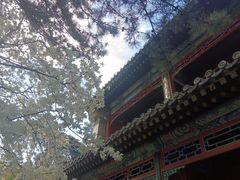 -潭柘寺景区