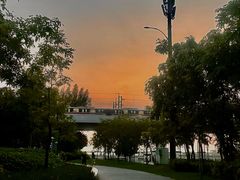 -宝安西湾红树林湿地公园