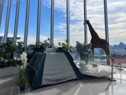 -IMON·HANSA潮玩玩偶毛绒玩具(通州万象汇店)