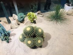 -深圳湾木棉花酒店