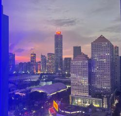 -脱白计划纹身集团