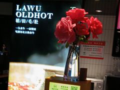 -辣伍鲜毛肚老火锅(元一店)