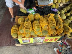 -海吉星市场