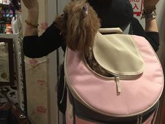 -爱宠屋pet shop·宠物洗澡·宠物美容