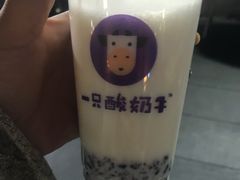 -一只酸奶牛(奎星楼店)