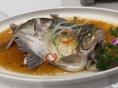 -刘胖子家常菜·蹄花焖藕(中南店)