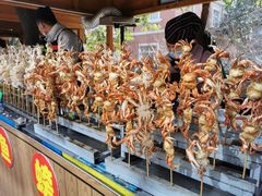 -中华郡文化旅游景区