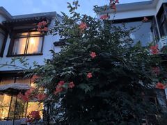 -树山生态村