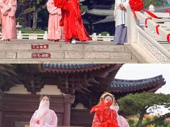 -祥源·阜阳生态乐园