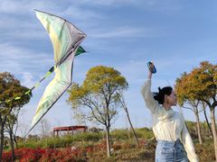 -春花秋色城市公园