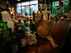 -咖法森林·咖啡  酒吧(天河店)