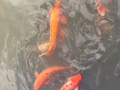 -鄂尔多斯野生动物园