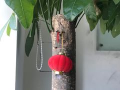 -新世界教育iVEE·英语日语西语(金桥校区)