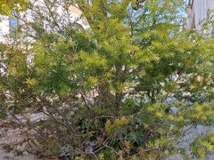 -比斯特上海购物村精品奥特莱斯
