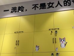 -洗脸猫·洗脸吧