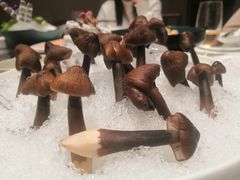 -揽季锅物会.福建黄鱼.海鲜姿造(五四路店)