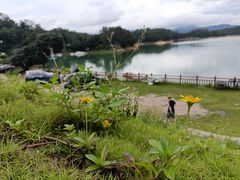 -广州市流溪河国家森林公园