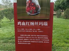 -北京大葆台遗址博物馆