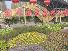 -东平国家森林公园