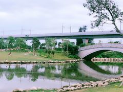 -宝安西湾红树林湿地公园