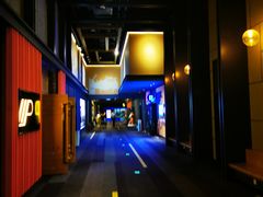 -万达影城(闵行颛桥万达广场杜比影院店)
