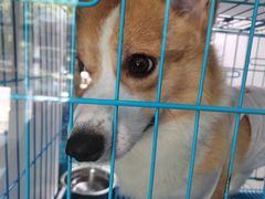 -萌兽医馆·宠物医院·猫骨科(创景店)