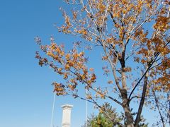 -永定门南广场