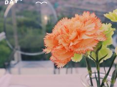 -烛影拾光·创意菜·鲜花·音乐(曲江钻石半岛店)