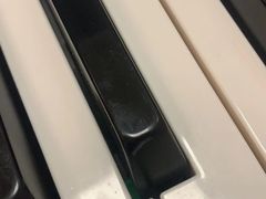 -MusicLife音乐(浦东校区)
