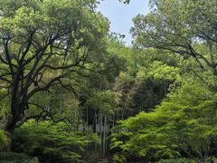 -杭州植物园