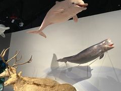 -中国湿地博物馆