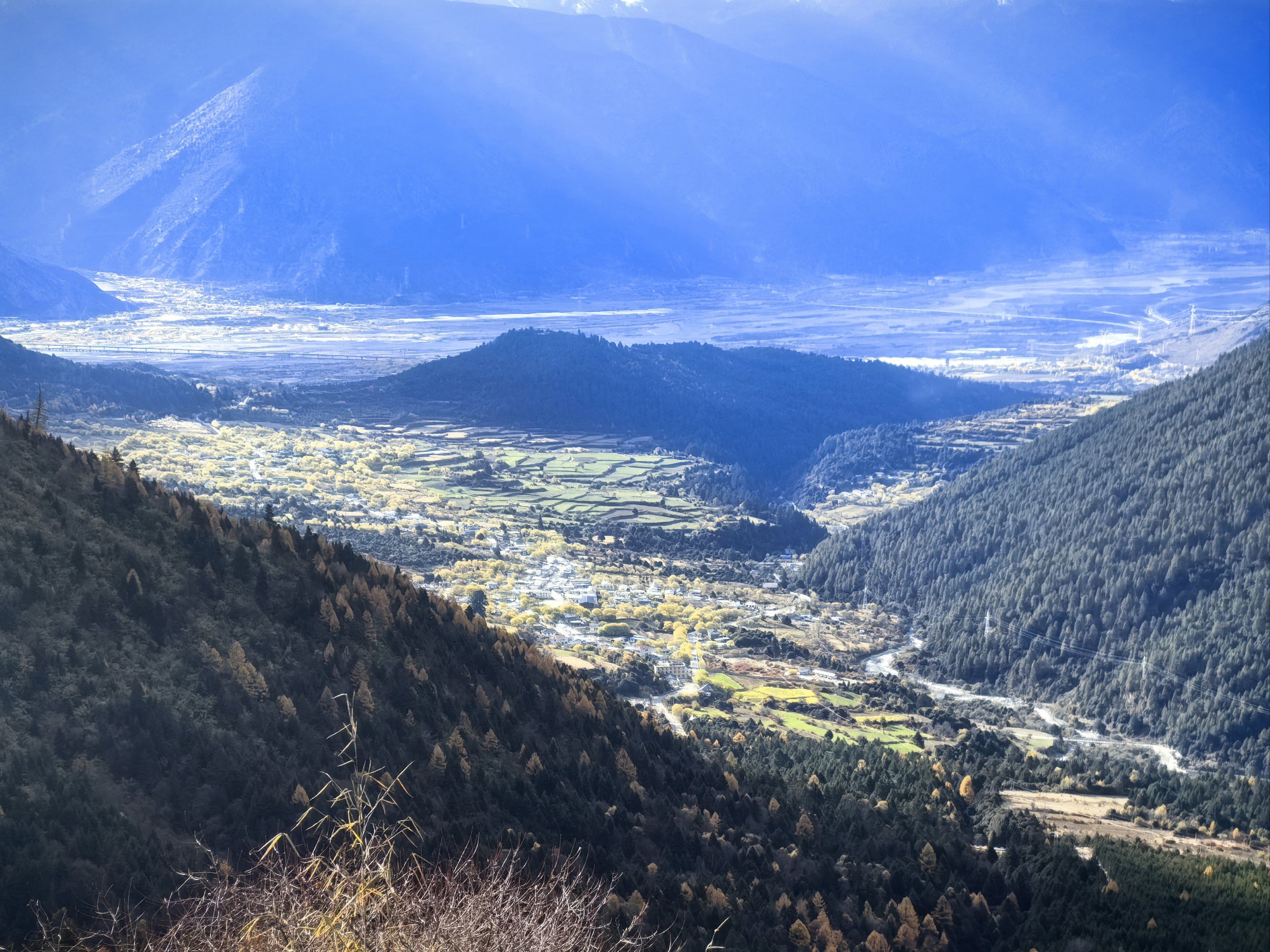 尼洋河谷的风光